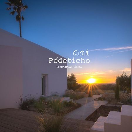 Pedebicho Serra Da Arrabida Country Inn And Studios 阿泽陶 外观 照片